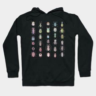 Beetles in a rainbow of colors Hoodie